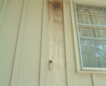 Bat droppings & urine damage behind a shutter
