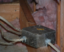 Attic Wiring Damage from a Squirrel