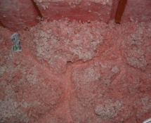 Mice Trails through Insulation
