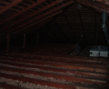 Insulation damage in attic from Raccoons