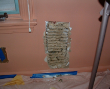 Yellow Jacket Nest in Wall